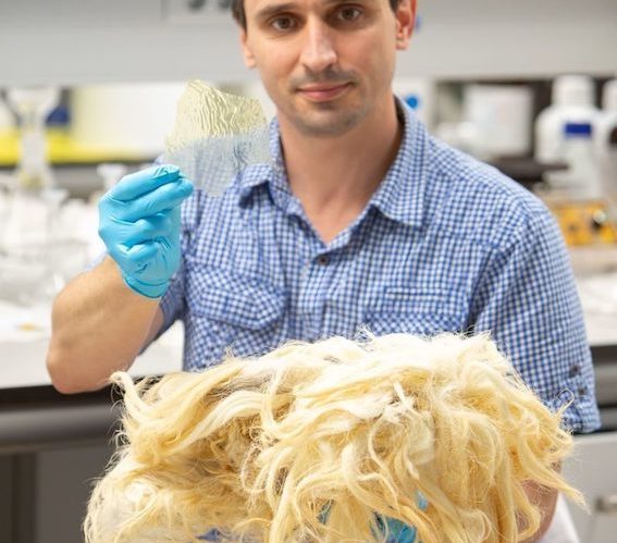 Un investigador de la Universidad Pública de Navarra desarrolla un método sencillo y limpio para a partir de los residuos de lana y plumas fabricar plásticos biodegradables
